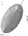 Fig. 18 - HYDRO-MECHANICAL CUTTER