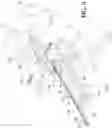 Fig. 03 - Method and apparatus for feeding an edger