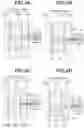 Fig. 05 - Method for manufacturing article and injection molding system