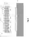 Fig. 07 - System and method of manufacturing fiber based articles with steam molding