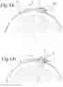 Fig. 06 - Working head for a tyre changing apparatus