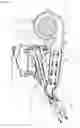 Fig. 02 - NEBULIZER SYSTEM FOR A MOTOR VEHICLE
