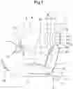 Fig. 02 - Vehicle Seat