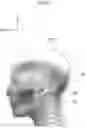 Fig. 06 - Vehicle seat, headrest, and head support member