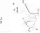 Fig. 20 - Tent for vehicle and vehicle including the same
