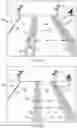 Fig. 07 - VEHICLE ASSIST SYSTEM