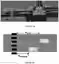 Fig. 10 - Autonomous vehicle safety platform system and method
