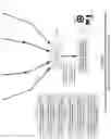 Fig. 10 - Object macrocells in frame locked rasters for real-time driving, positive train control, and general purpose anti-collision