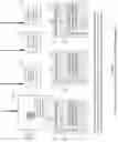 Fig. 12 - Object macrocells in frame locked rasters for real-time driving, positive train control, and general purpose anti-collision