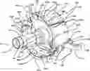 Fig. 01 - Knuckle for a self-steering axle/suspension system
