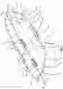 Fig. 02 - SNAG-FREE INSERTS FOR INFLATABLE BOATS
