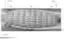 Fig. 04 - Outer membrane for aerial vehicles