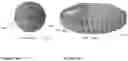 Fig. 23 - Outer membrane for aerial vehicles
