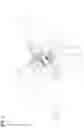 Fig. 02 - AUTOROTATING PAYLOAD DELIVERY DEVICE
