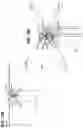 Fig. 19 - METHOD OF ASSEMBLYING AND OPERATING AN AUTOROTATING PAYLOAD DELIVERY DEVICE