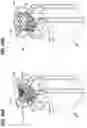 Fig. 21 - METHOD OF ASSEMBLYING AND OPERATING AN AUTOROTATING PAYLOAD DELIVERY DEVICE