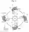 Fig. 12 - Satellite constellation, ground facility and artificial satellite