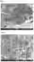 Fig. 03 - Porous carbon and resin composition
