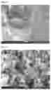Fig. 04 - Porous carbon and resin composition