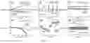 Fig. 06 - Method for production of nitrogen-doped single wall carbon nanohorns from anode graphite of wasted lithium-ion batteries
