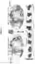Fig. 25 - GRAPHENE FUNCTIONALIZATION METHOD, APPARATUS, AND FUNCTIONALIZED GRAPHENE PRODUCT