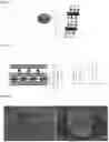 Fig. 02 - SHEET SILICATE LAMELLAE WITH A HIGH ASPECT RATIO