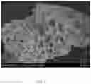 Fig. 02 - Method of applying hierarchical porous ZrOmaterial