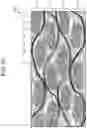 Fig. 09 - Ceramic matrix composite manufacturing method and ceramic matrix composite