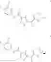 Fig. 02 - N-heterocyclic five-membered ring-containing capsid protein assembly inhibitor, pharmaceutical composition and uses thereof