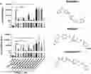 Fig. 01 - Using adiponectin receptor agonists to treat inflammation and bone diseases in diabetes