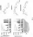 Fig. 02 - Using adiponectin receptor agonists to treat inflammation and bone diseases in diabetes