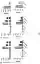 Fig. 06 - Using adiponectin receptor agonists to treat inflammation and bone diseases in diabetes