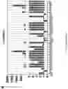 Fig. 07 - Using adiponectin receptor agonists to treat inflammation and bone diseases in diabetes