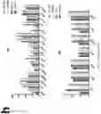 Fig. 15 - Using adiponectin receptor agonists to treat inflammation and bone diseases in diabetes