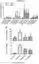 Fig. 17 - Using adiponectin receptor agonists to treat inflammation and bone diseases in diabetes