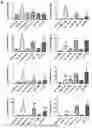 Fig. 20 - Using adiponectin receptor agonists to treat inflammation and bone diseases in diabetes