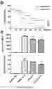 Fig. 21 - Using adiponectin receptor agonists to treat inflammation and bone diseases in diabetes