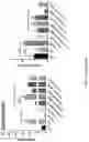 Fig. 29 - Using adiponectin receptor agonists to treat inflammation and bone diseases in diabetes