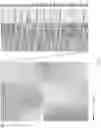 Fig. 34 - Using adiponectin receptor agonists to treat inflammation and bone diseases in diabetes