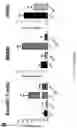 Fig. 35 - Using adiponectin receptor agonists to treat inflammation and bone diseases in diabetes
