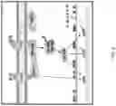 Fig. 38 - Using adiponectin receptor agonists to treat inflammation and bone diseases in diabetes