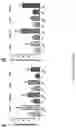Fig. 44 - Using adiponectin receptor agonists to treat inflammation and bone diseases in diabetes
