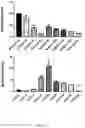 Fig. 45 - Using adiponectin receptor agonists to treat inflammation and bone diseases in diabetes