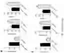 Fig. 51 - Using adiponectin receptor agonists to treat inflammation and bone diseases in diabetes