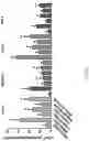 Fig. 53 - Using adiponectin receptor agonists to treat inflammation and bone diseases in diabetes