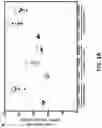 Fig. 02 - SMALL MOLECULE MODULATORS OF PANK