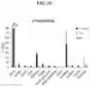 Fig. 05 - Macrocyclic complexes of alpha-emitting radionuclides and their use in targeted radiotherapy of cancer