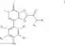 Fig. 15 - ACYLAMINOPYRROLO-PYRIDONE COMPOUND, PREPARATION METHOD THEREFOR AND USE THEREOF