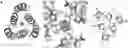 Fig. 01 - AMANTADINE BINDING PROTEIN