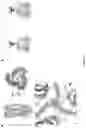 Fig. 04 - AMANTADINE BINDING PROTEIN